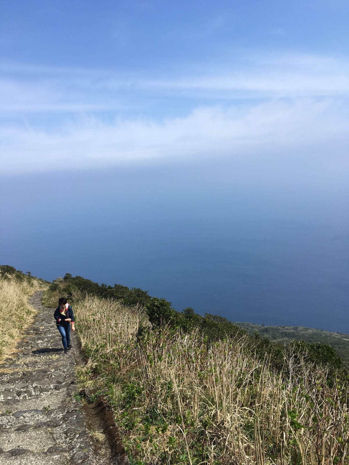 八丈島2日目 Rempartsのブログ